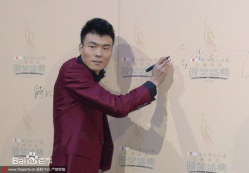 李金哲(Li Jinzhe)2013年度CCTV体坛风云人物年度最佳新人图片图册