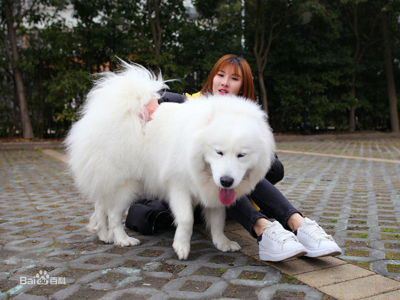 范雨彤(Lucky)生活照性感图片壁纸