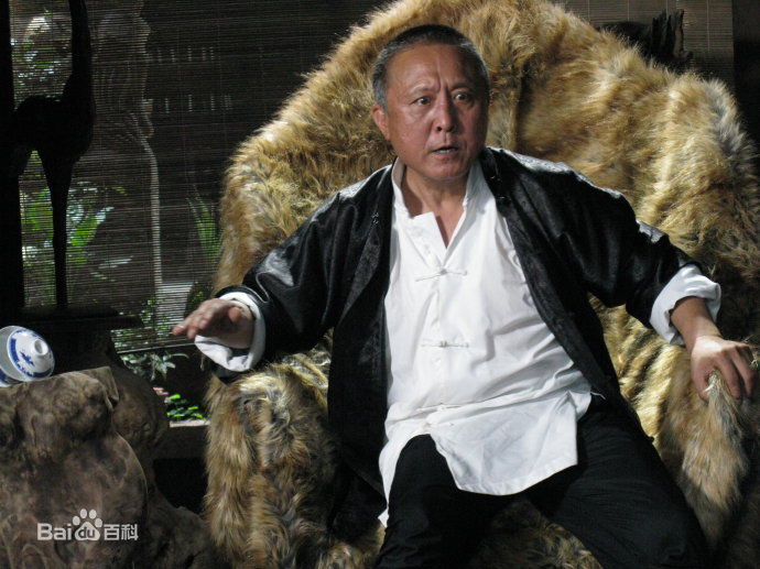 段宇华(Duan Yuhua)华子年代最优质剧照