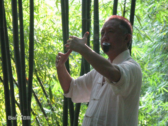 段宇华(Duan Yuhua)华子年代最优质剧照