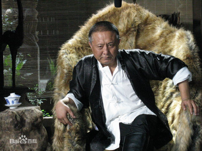 段宇华(Duan Yuhua)华子年代最优质剧照