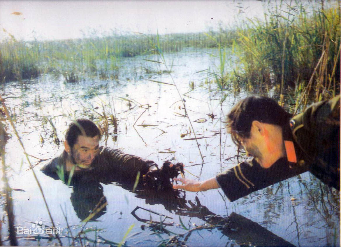 仇永力(yongli)现代最全剧照