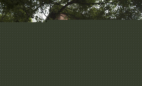 最新严翔性感图片