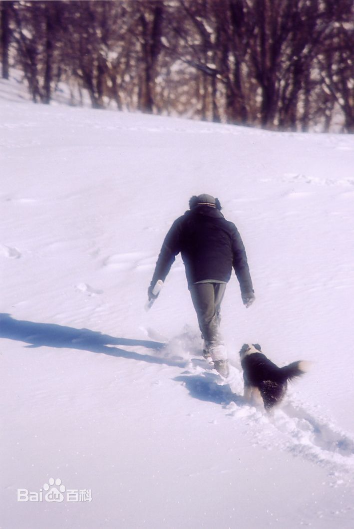 最优质朴真熙()生活照