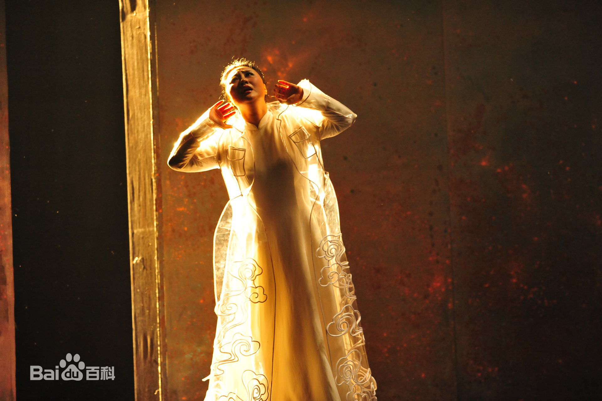 周晓琳歌剧演出壁纸壁纸