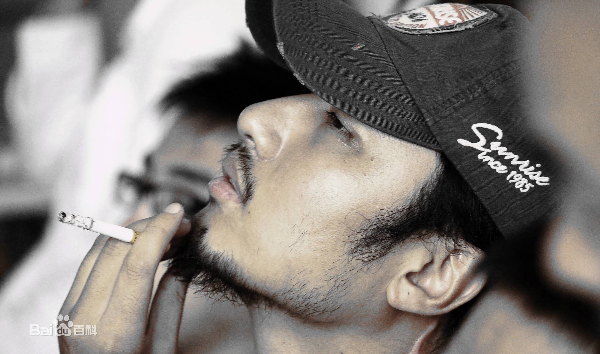 路云飞导演工作照性感图片图集