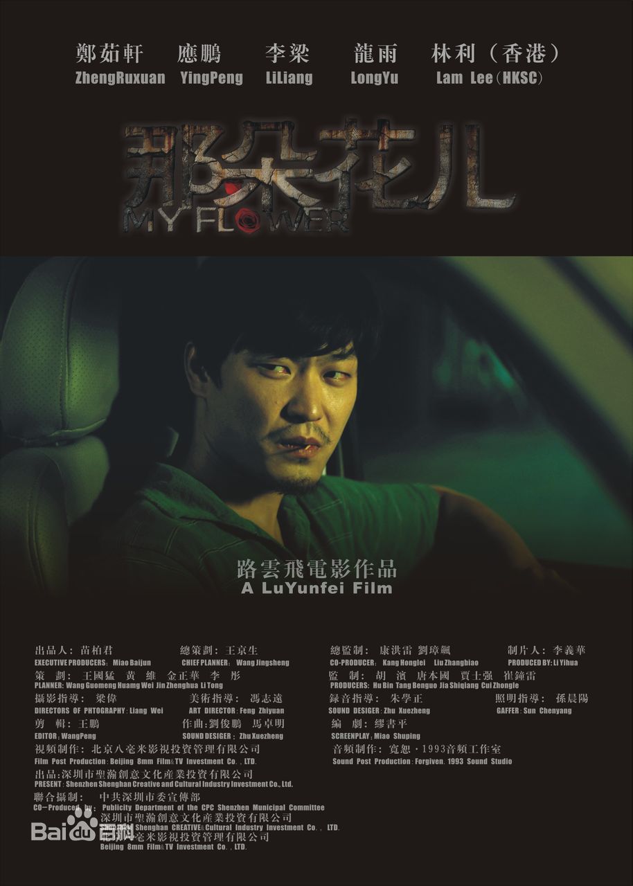 路云飞主要作品最全海报壁纸