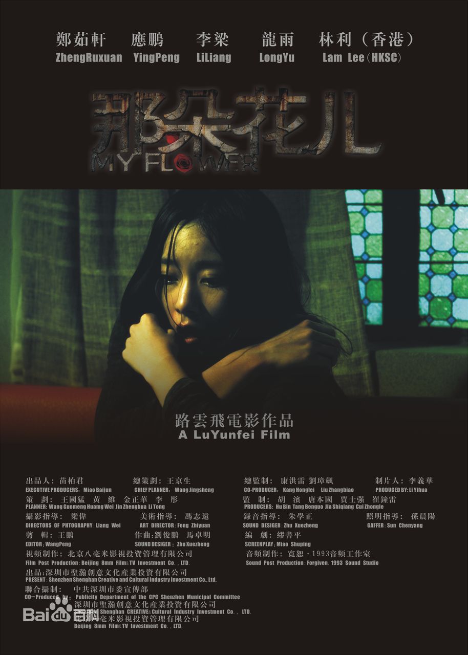 路云飞主要作品最全海报壁纸