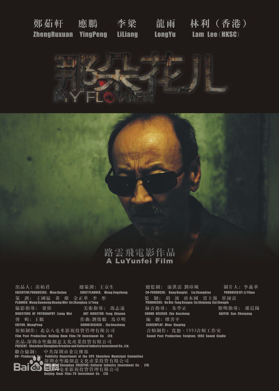 路云飞主要作品最全海报壁纸