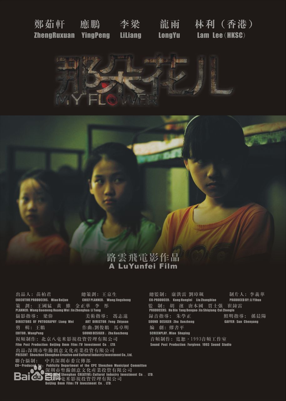 路云飞主要作品最全海报壁纸