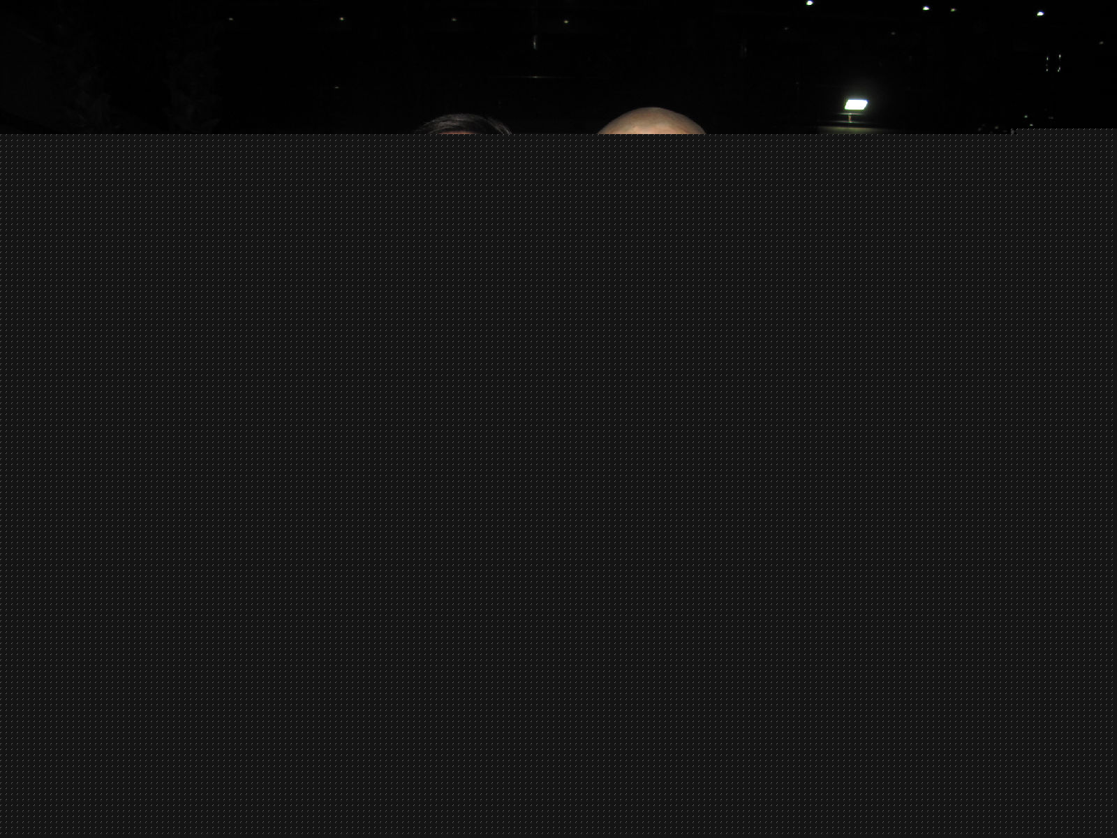 最新程野精彩图册