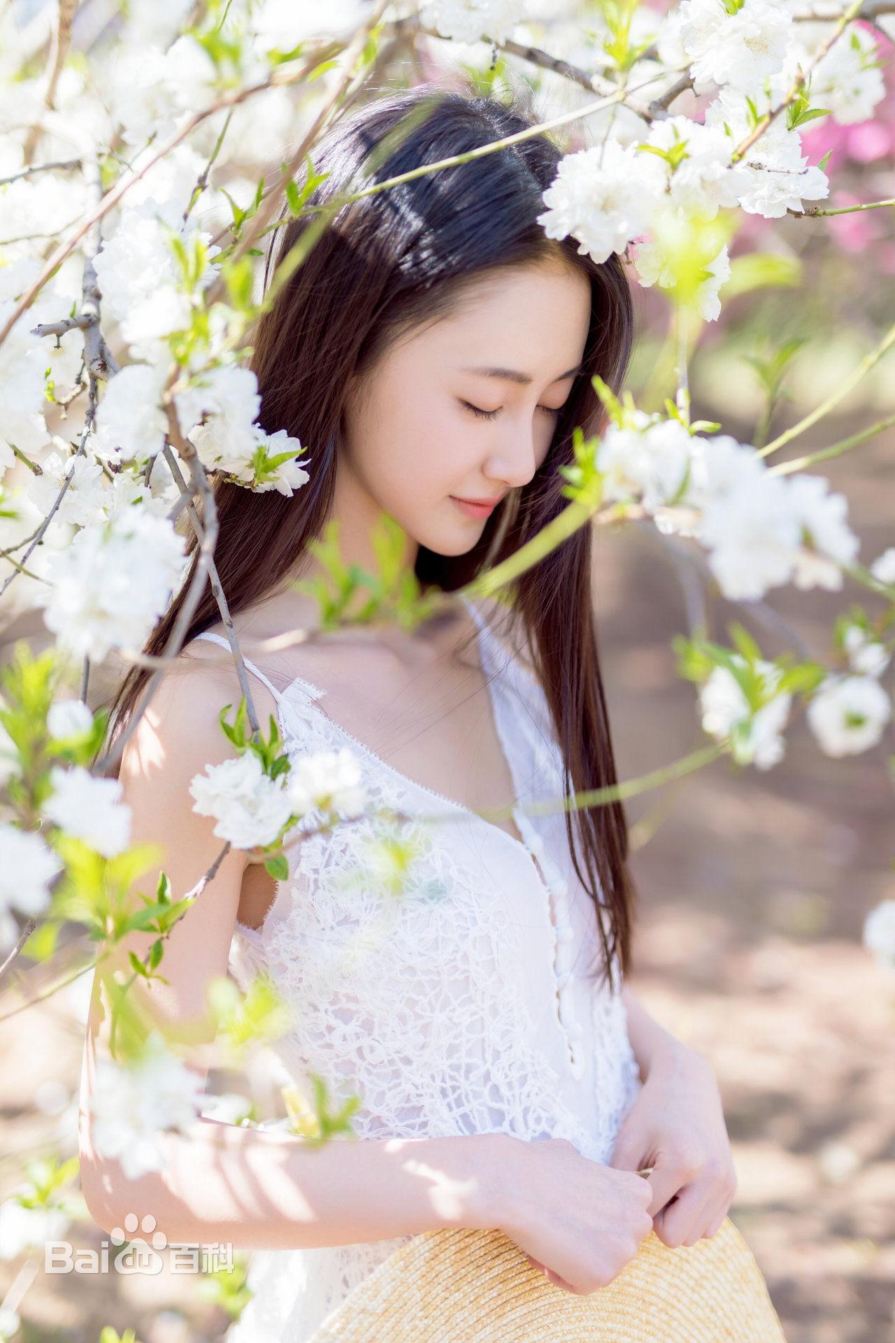 马泽涵最优质森系田园相册