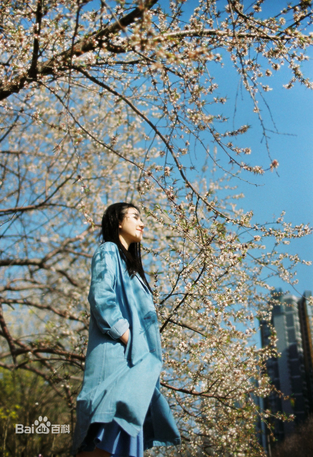 李兰迪高清清新图集