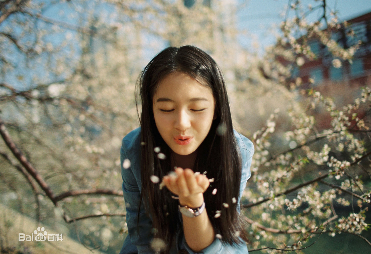 李兰迪高清清新图集