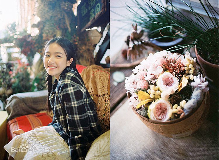 李兰迪高清清新图集