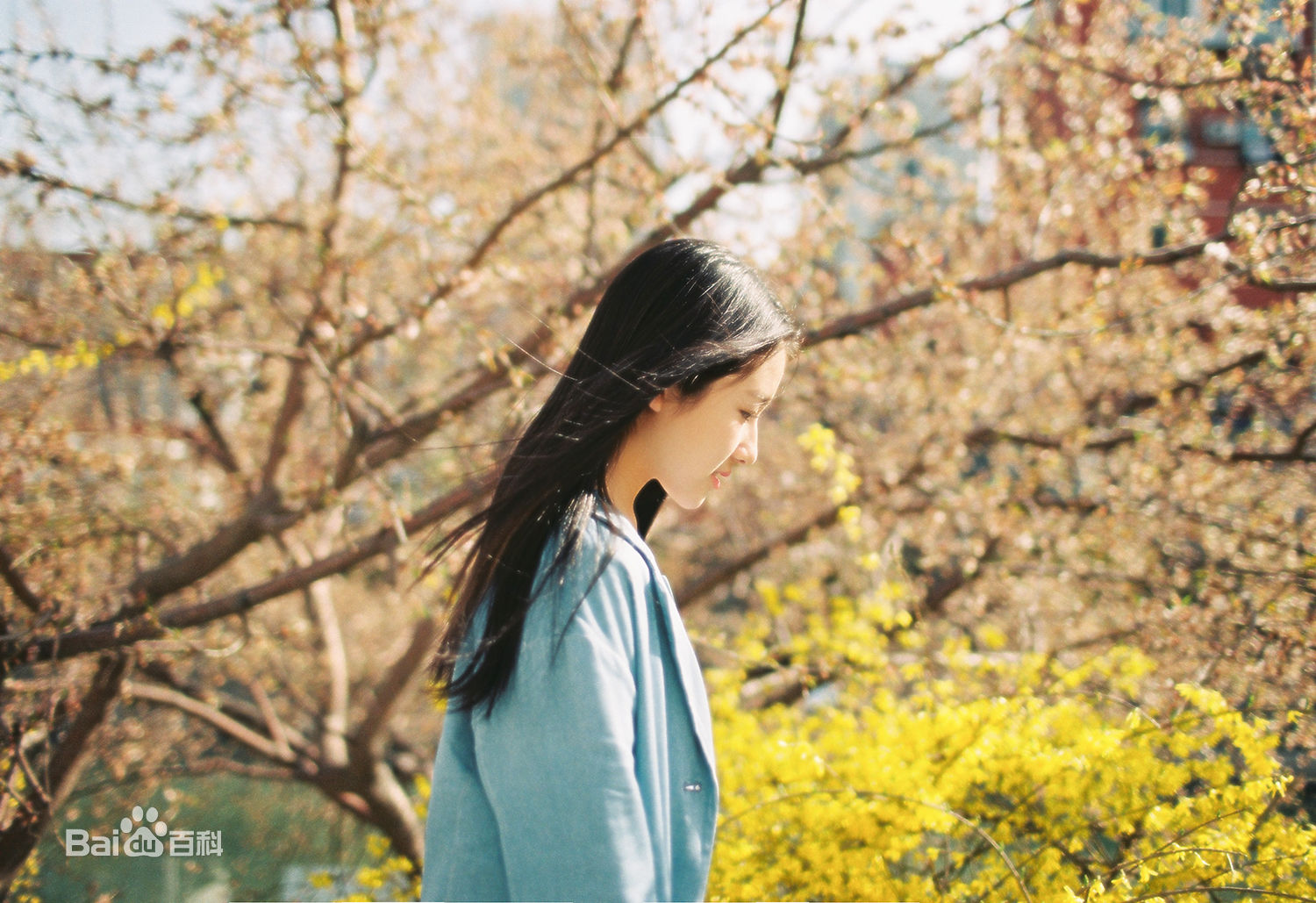 李兰迪高清清新图集