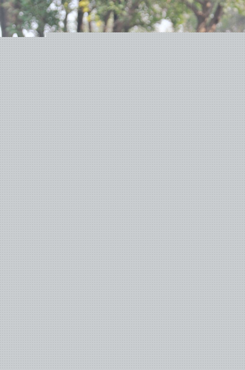 信鹏(XinPeng)  最全剧照  型男最全剧照