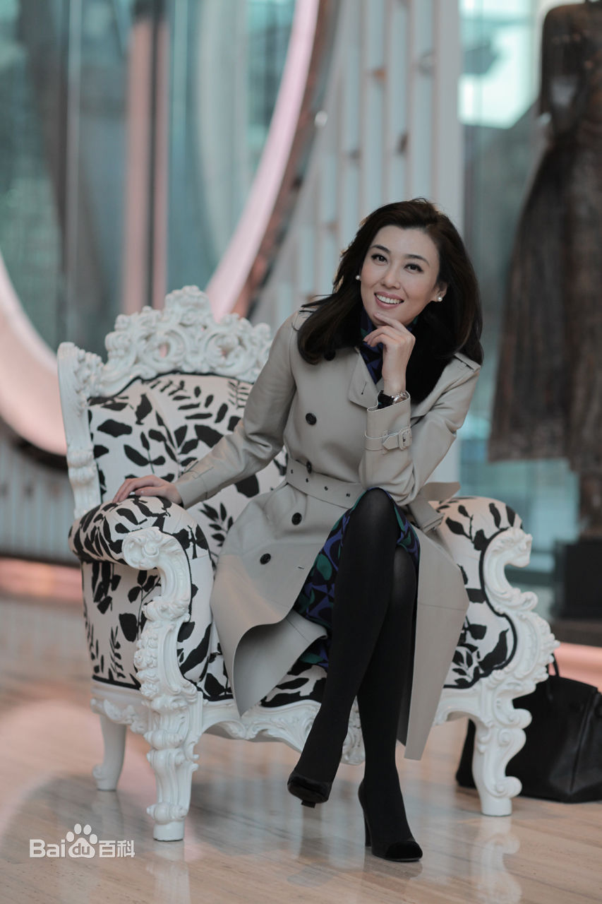 李红(Li Hong)中央电视台女主播—前后照片