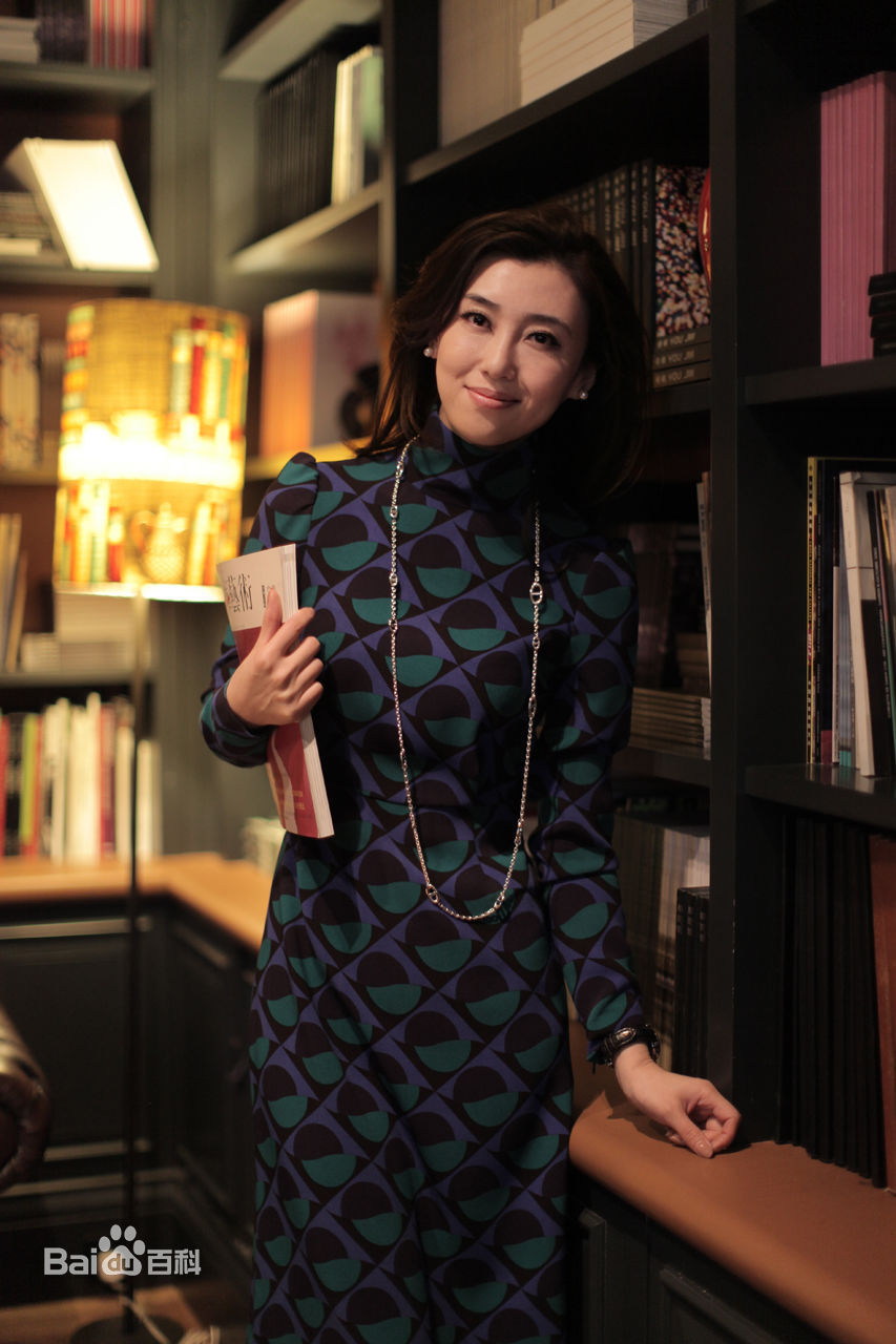 李红(Li Hong)央视女主播图册