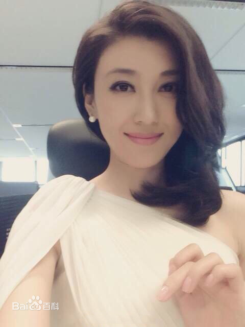 李红(Li Hong)央视女主播图册