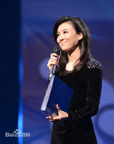李红(Li Hong)央视女主播图册