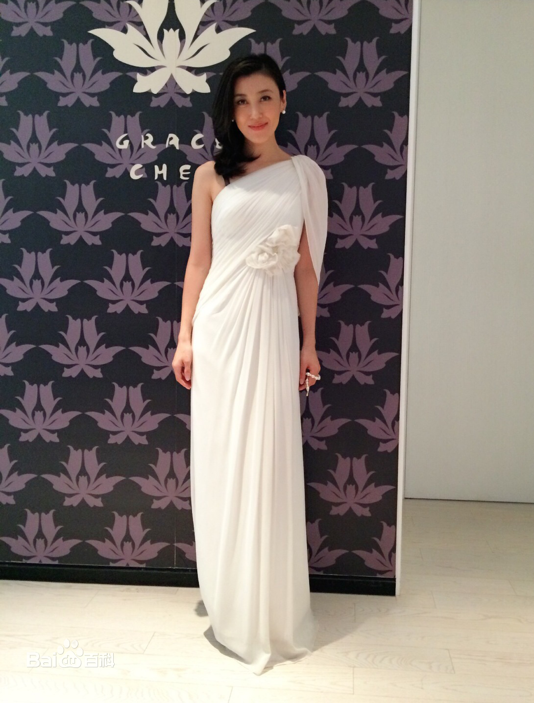 李红(Li Hong)央视女主播图册