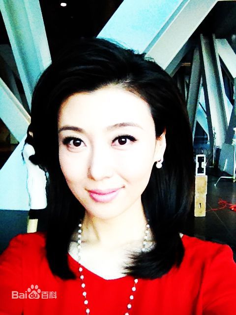 李红(Li Hong)央视女主播图册