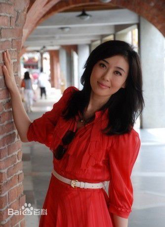 李红(Li Hong)央视女主播图册