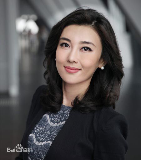 李红(Li Hong)中央电视台女主播—前后照片