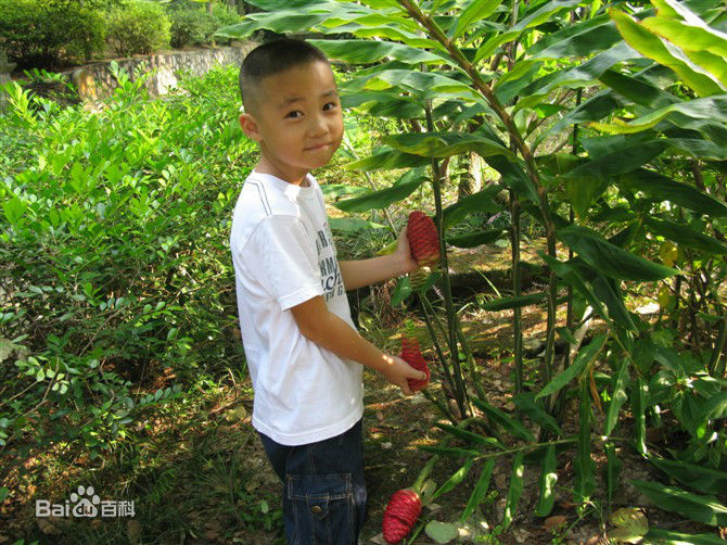 冯邵一(Johnny)童年照前后照片