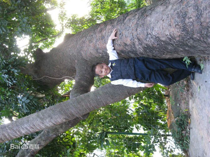 冯邵一(Johnny)童年照前后照片