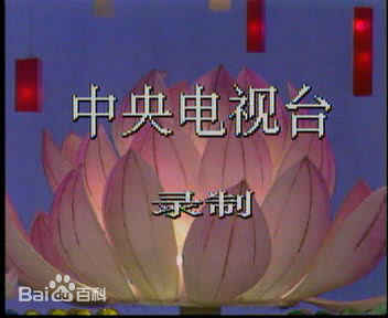 赵安89春晚剧组性感图片壁纸