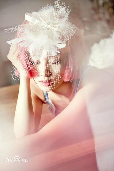 郑妮可(Nicole Jung、、ニコル)前后照片