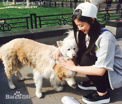 金裕贞(Kim You Jung、キムユジョン)生活性感图片图集