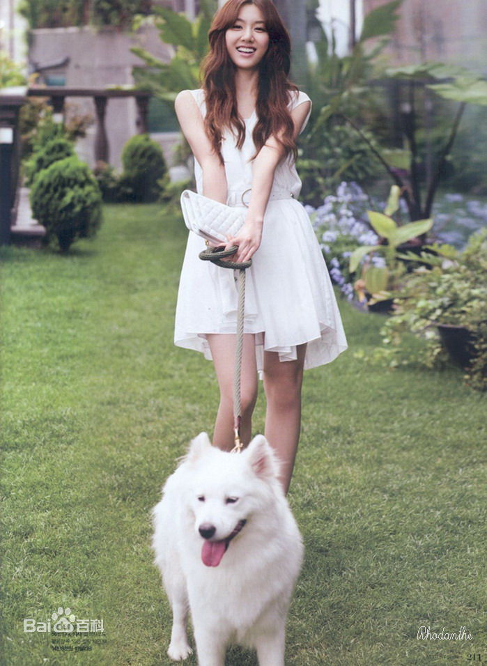 徐智慧(，Seo Ji-Hye)精彩图册