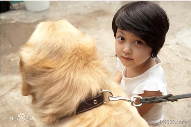 安瑞贤/安书炫(/An seo hyeon)安瑞贤壁纸壁纸