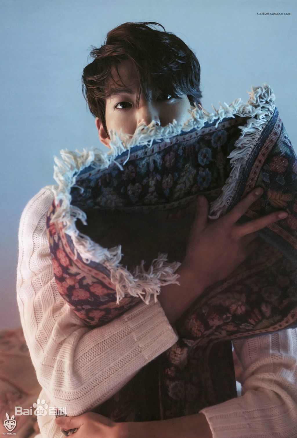 金宇彬(/KimWoo Bin)精选杂志照图册