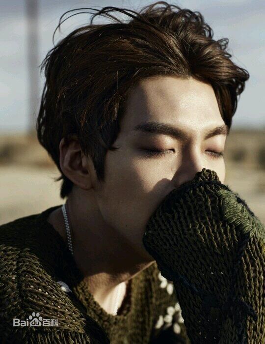 金宇彬(/KimWoo Bin)精选杂志照图册