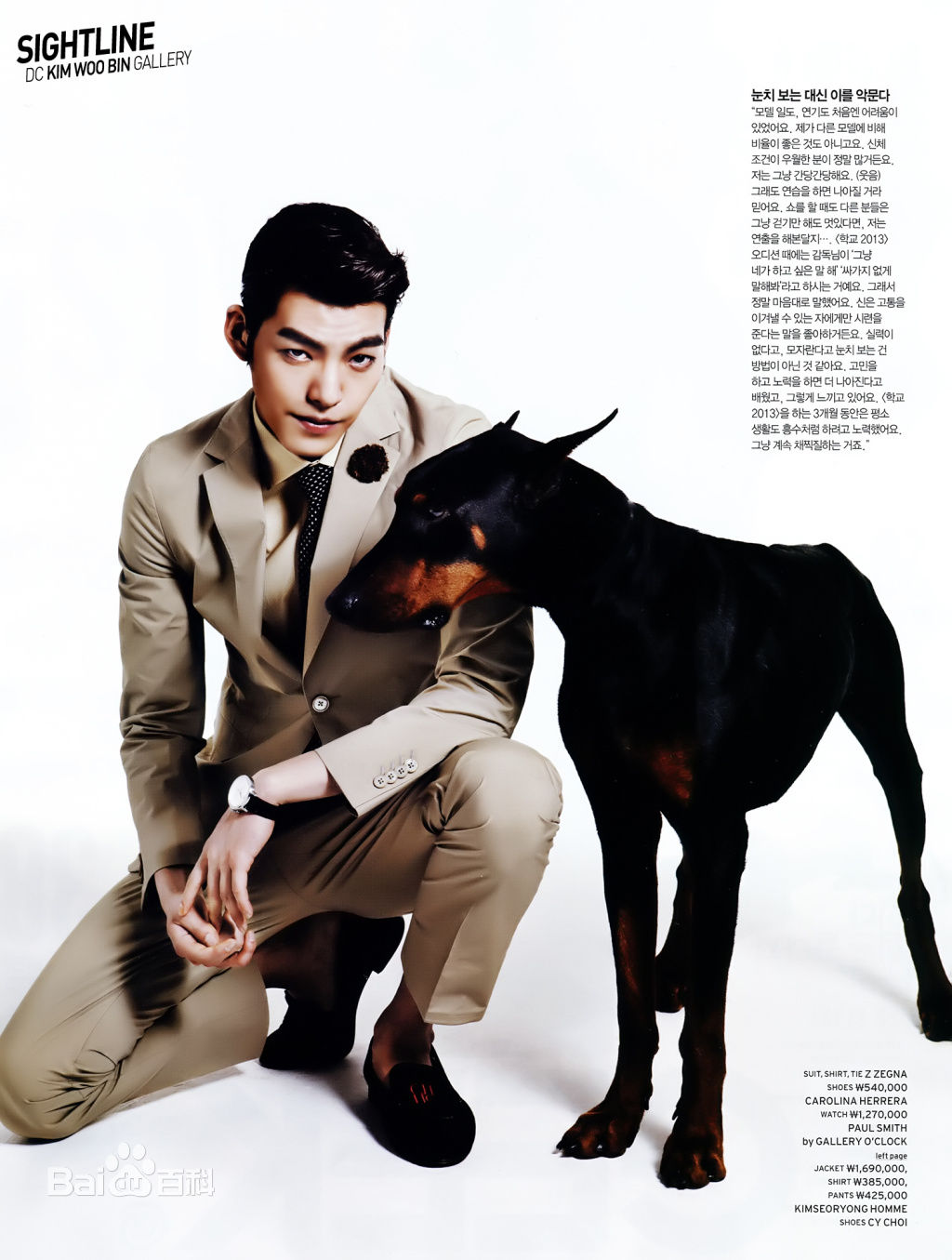 金宇彬(/KimWoo Bin)精选杂志照图册