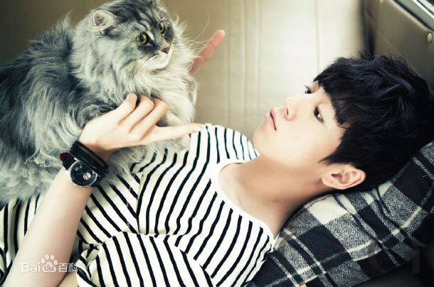 李玹雨((韩)Lee Hyun Woo(英)イヒョヌ(日))最全画报壁纸