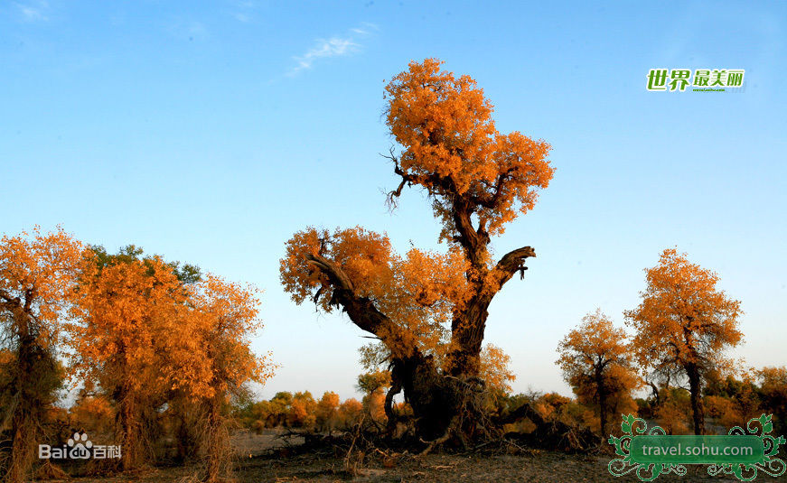 最优质闵孝琳()精彩图册