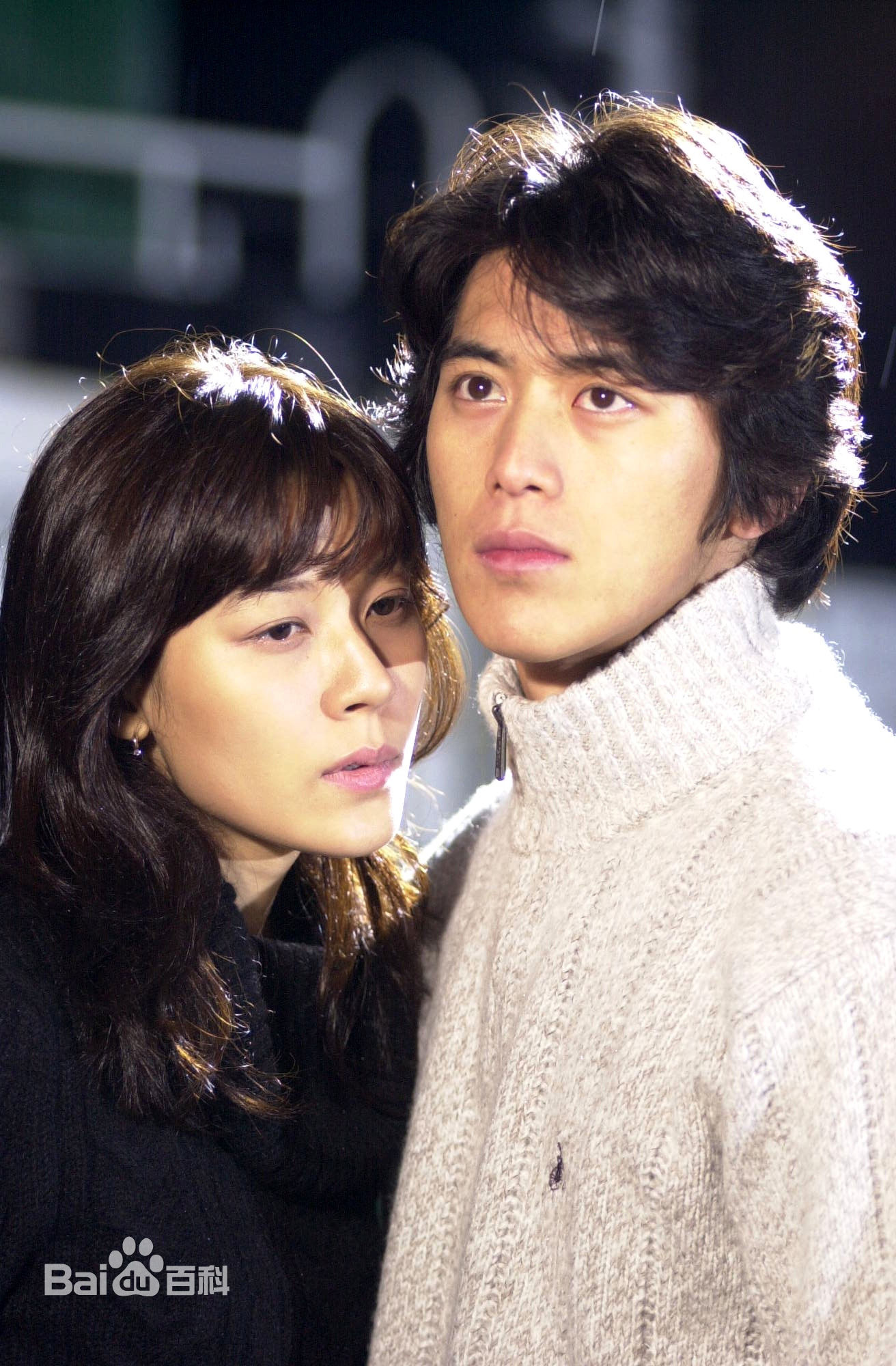 高洙(，コス，Kosoo)电视剧作品图册