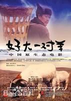 最全成浚文素颜照