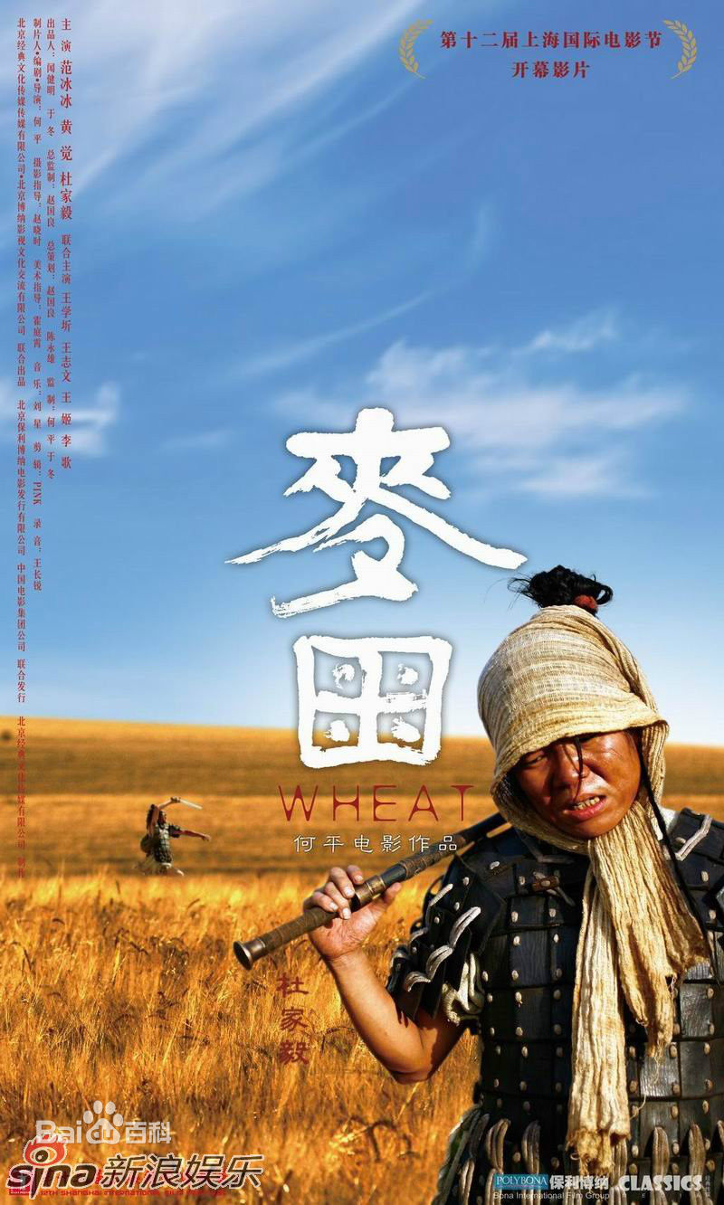 精选麦田(Wheat)