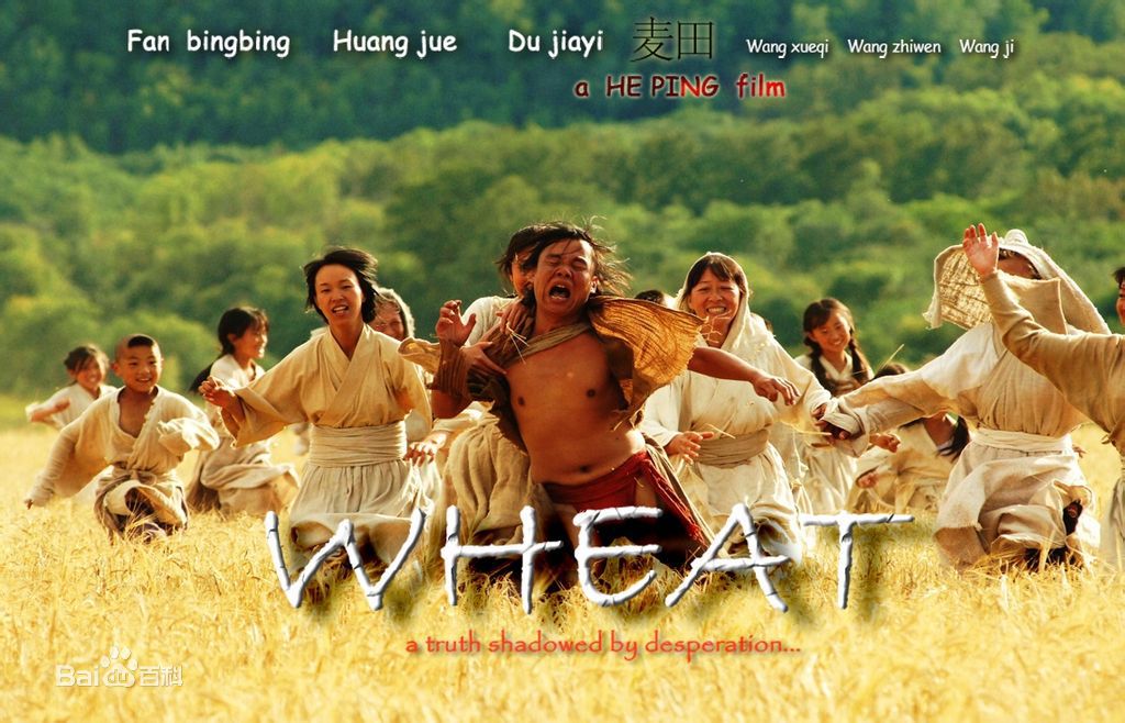 精选麦田(Wheat)