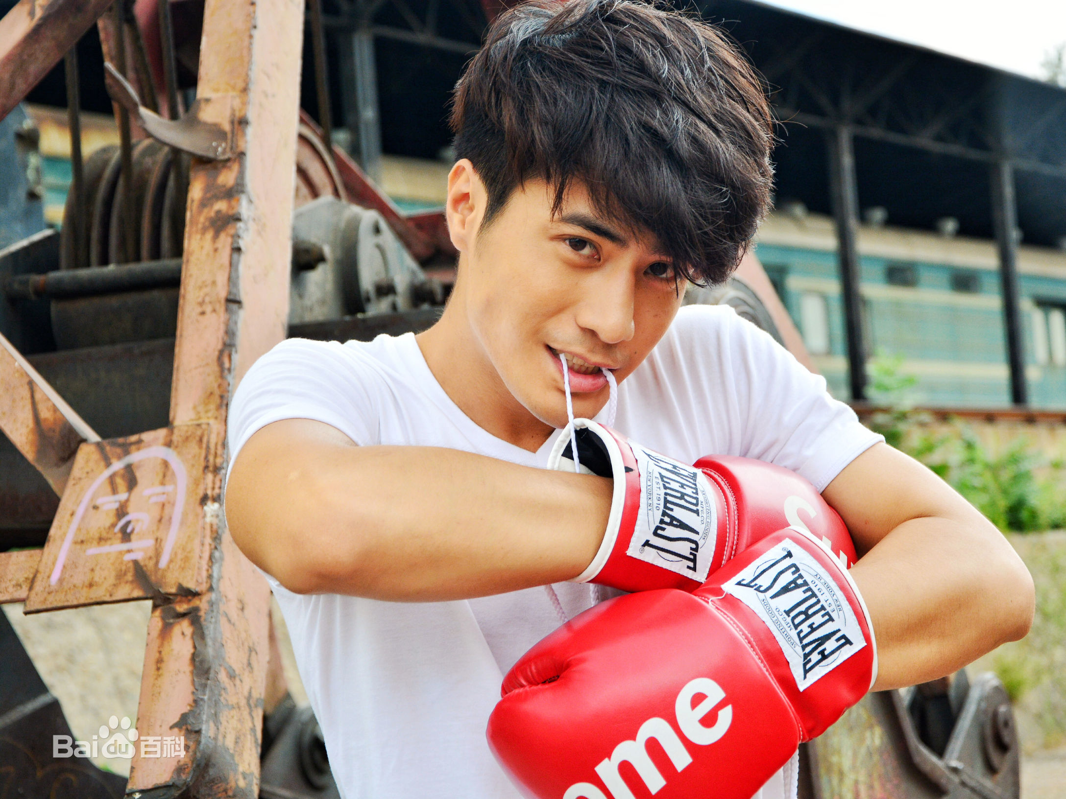 李晨浩(Leon Lee)高清机车图集