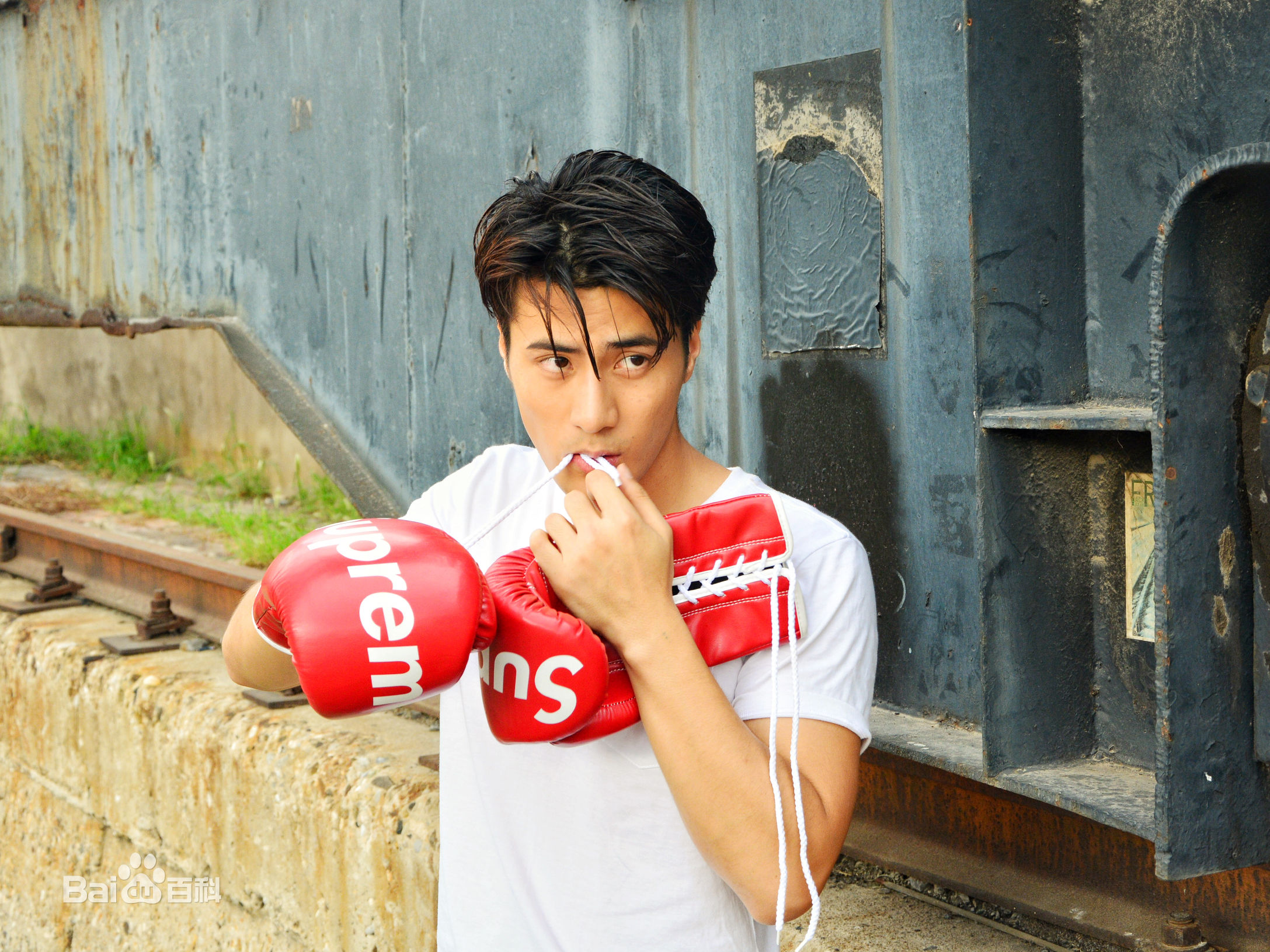 李晨浩(Leon Lee)高清机车图集