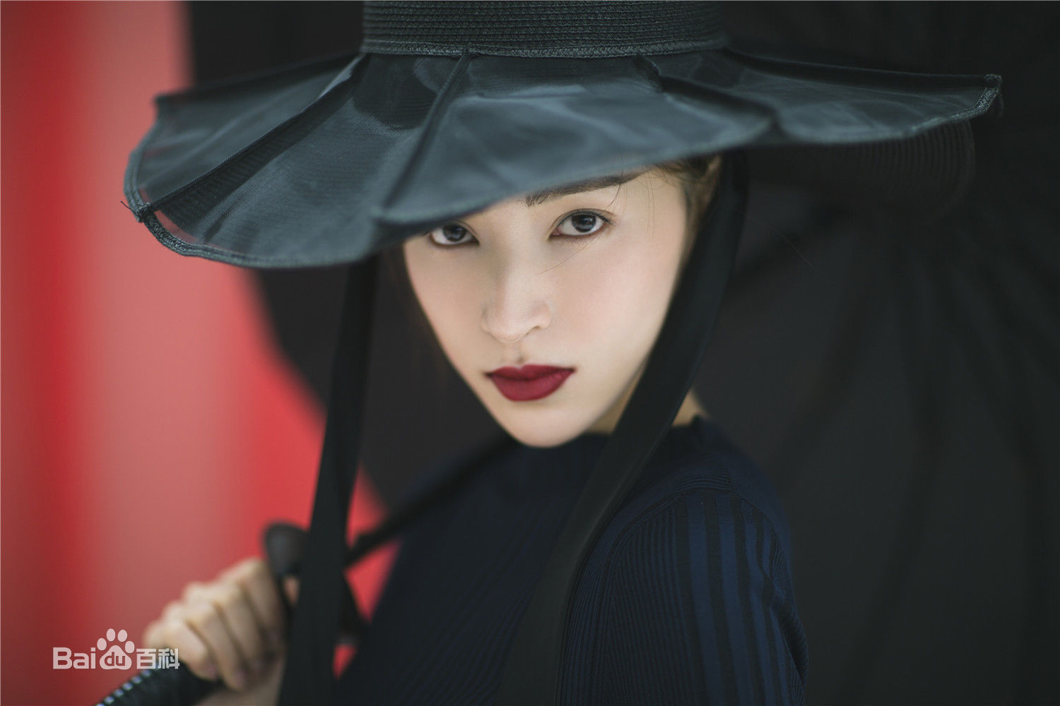 黄小戈(Megan Hwang)精选图册