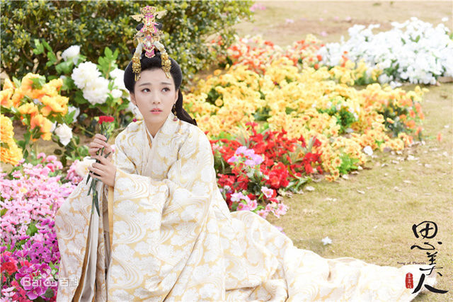 最优质宁心在《思美人》田姬中的相册