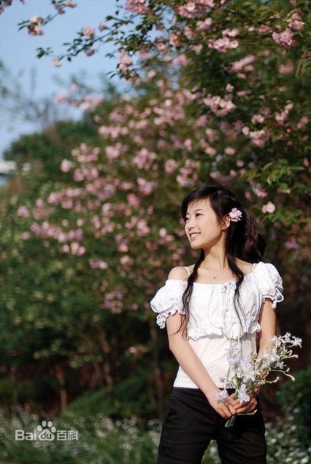 刘妙最新《暮春樱花》壁纸